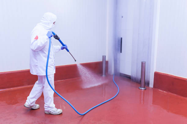 Best Solar Panel Cleaning  in Deatsville, AL