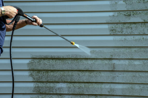 Best Gutter Cleaning  in Deatsville, AL